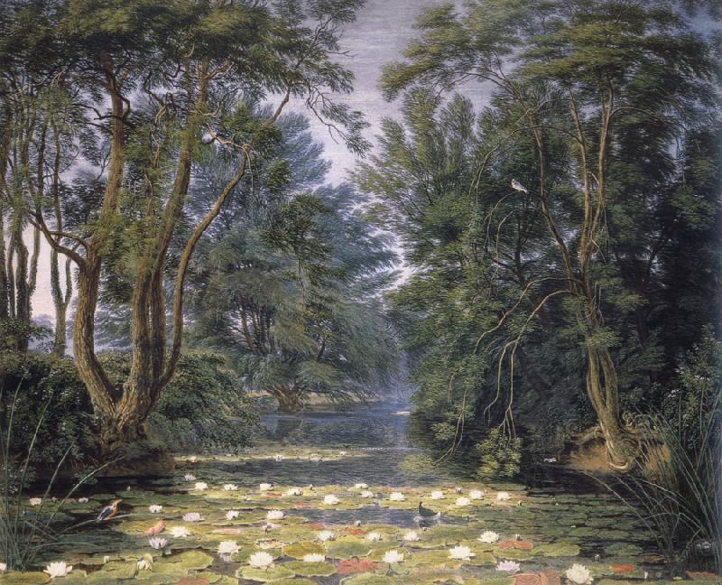 William Turner of Oxford Cherwell Water Lilies,